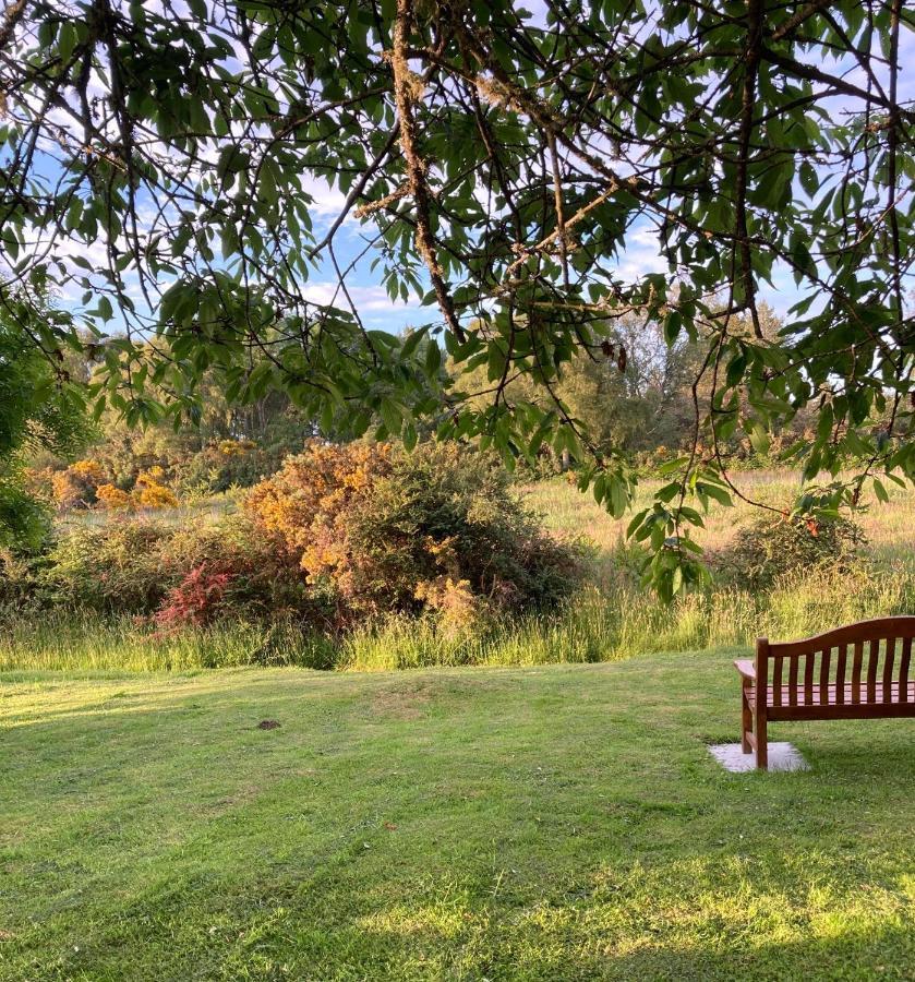 Clashmore Wood Dornoch Εξωτερικό φωτογραφία
