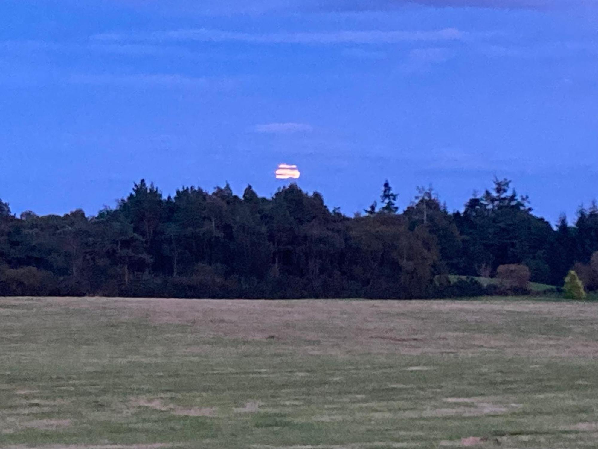 Clashmore Wood Dornoch Εξωτερικό φωτογραφία