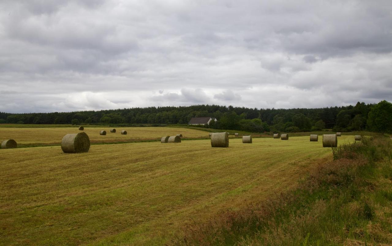 Clashmore Wood Dornoch Εξωτερικό φωτογραφία