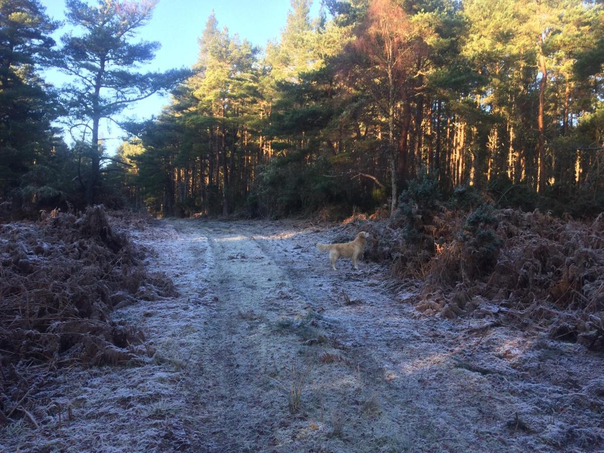 Clashmore Wood Dornoch Εξωτερικό φωτογραφία